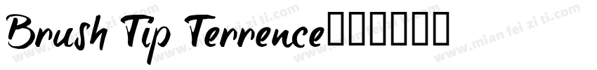Brush Tip Terrence字体转换